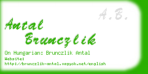 antal brunczlik business card